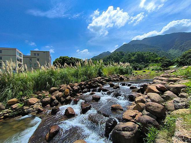 野猪闯村：新坟遭劫，逝者衣物散落